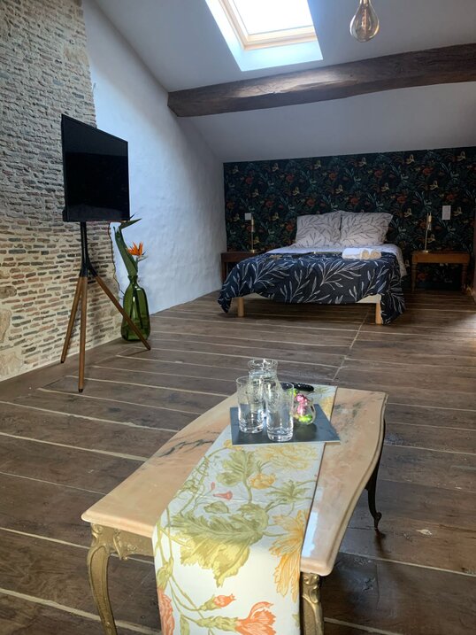 La chambre Calathéas Chambre Calathéas avec un lit, une télévision, une table et une chaise.